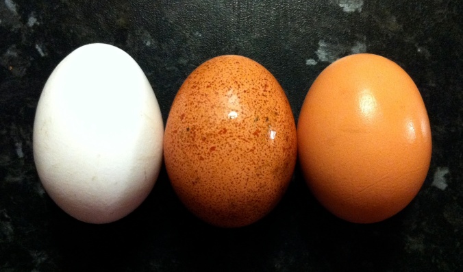 three eggs.jpg